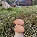 Barn House Σπίτι διακοπών *