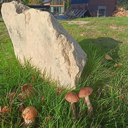 Prázdninový dům Barn House Grudza