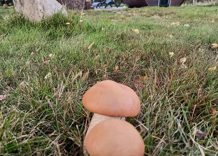 Barn House Dom wakacyjny *